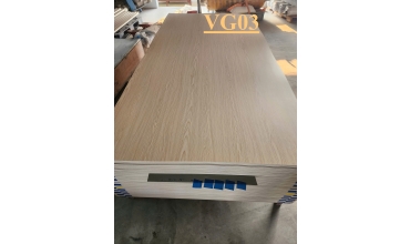 Tấm hậu PVC VG03