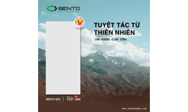 Tấm nhựa gỗ BENTO màu 602