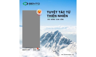 Tấm nhựa gỗ BENTO màu 603