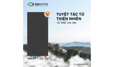 Tấm nhựa gỗ BENTO màu 605