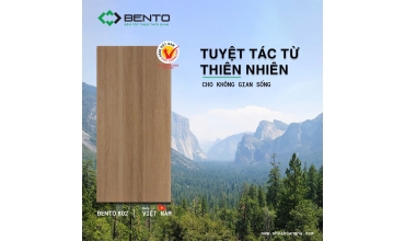 Tấm nhựa gỗ BENTO màu 802