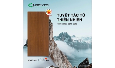 Tấm nhựa gỗ BENTO màu 803