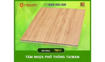 TẤM NHỰA PHỔ THÔNG TAIWAN TN11