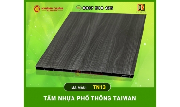 TẤM NHỰA PHỔ THÔNG TAIWAN TN13