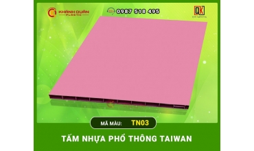 TẤM NHỰA PHỔ THÔNG TAIWAN TN03